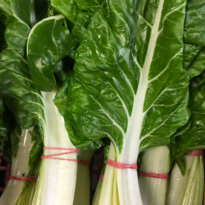 grandes-feuilles-laitue-salades-IMG_0747