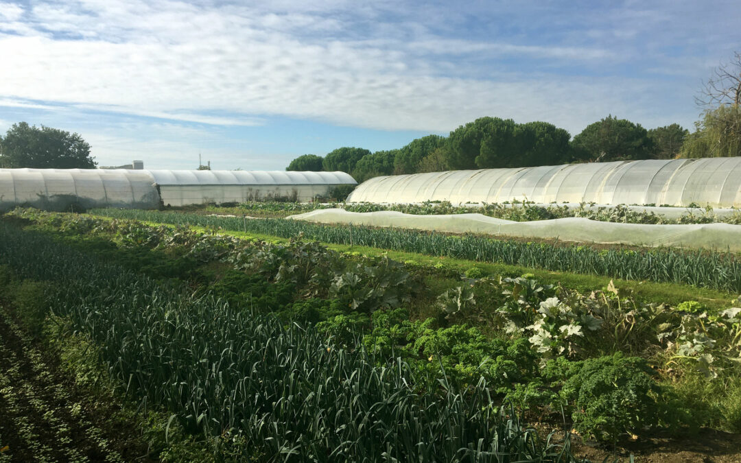 ferme01web