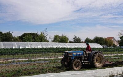 De Ferme en Ferme