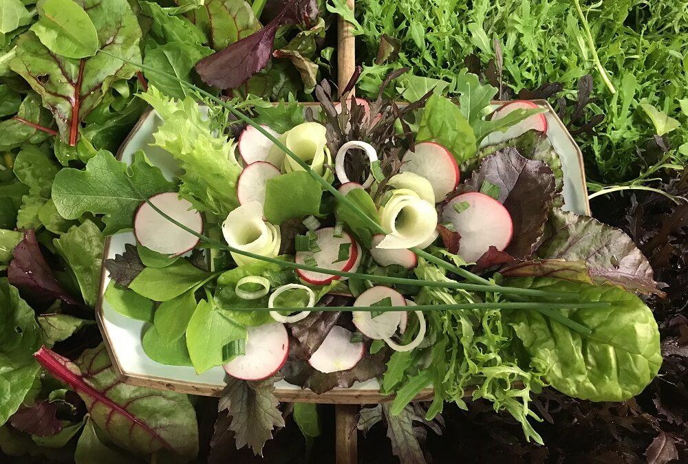 salades01