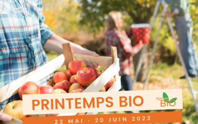 « Biodiversité in the City », l’exposition à la ferme par Anaïs Barrachina