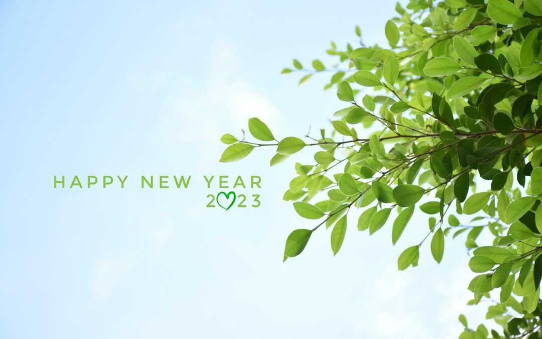happy new year