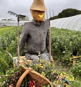 Retour sur « De ferme en ferme » édition 2023 : un week-end riche en découvertes et en émerveillement !