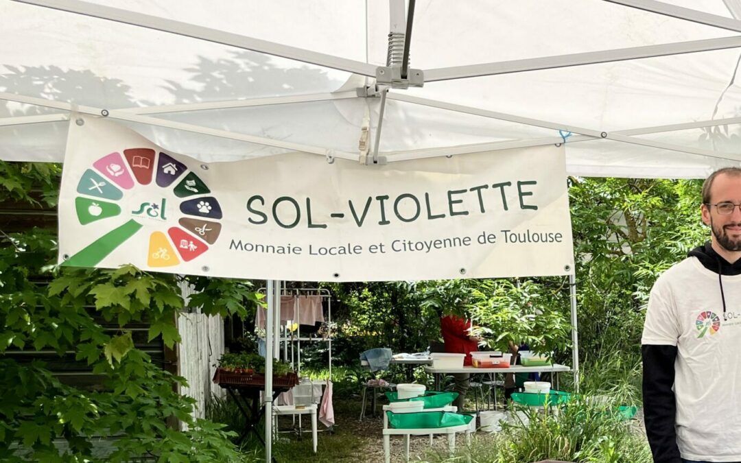sol violette