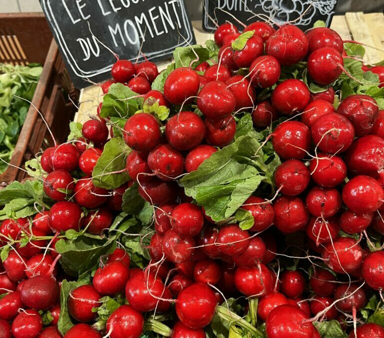 Le printemps est arrivé les radis aussi !