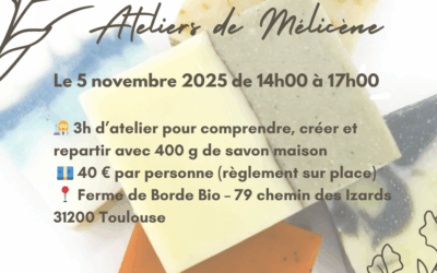 Atelier saponification à froid avec Mélicène Savonnerie Artisanale