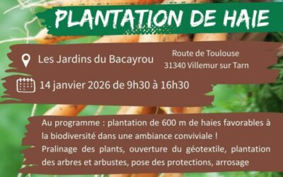 Participez à la plantation d&rsquo;une haie à Villemur-sur-tarn