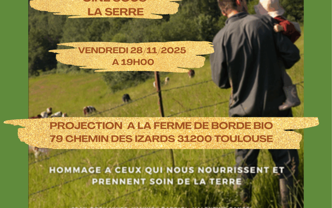 rappel ciné sous la serre 2