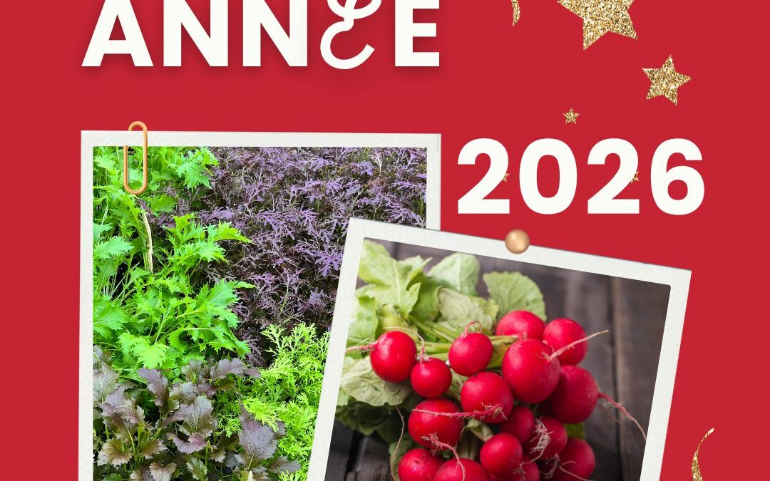 Bonne année 2026 rouge