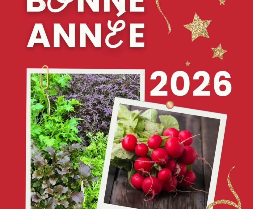Bonne année 2026