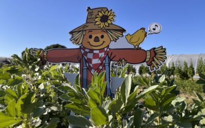 De ferme en ferme les 25 et 26 avril 2026